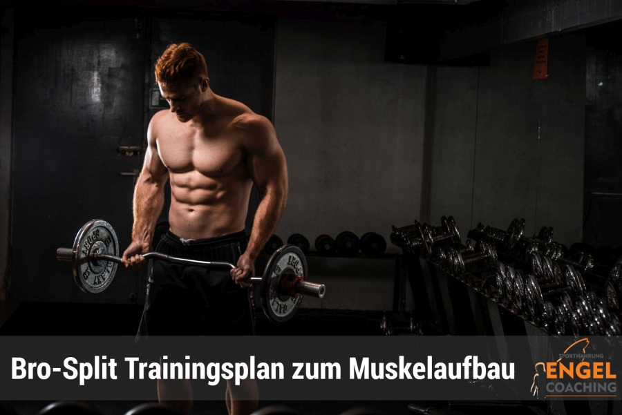 Bro Split: Was sagt die Wissenschaft zu dem Split-Training? class=